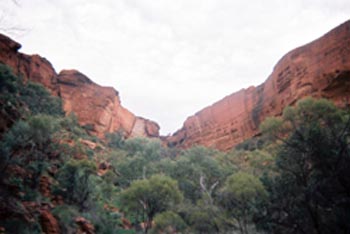 ���̍��̖l�́E�E�E�E�E������������́H