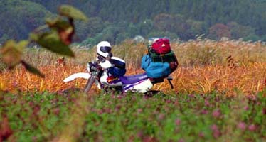 ���̍��̖l�́E�E�E�E�E������������́H