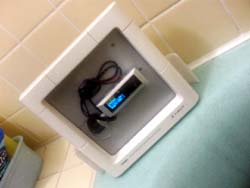 ���̍��̖l�́E�E�E�E�E������������́H