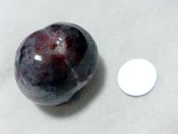 ���̍��̖l�́E�E�E�E�E������������́H