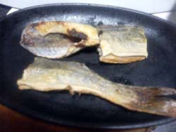 ���̍��̖l�́E�E�E�E�E������������́H