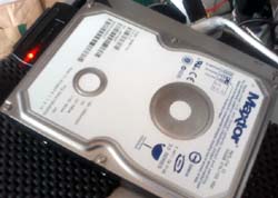 ���̍��̖l�́E�E�E�E�E������������́H