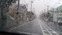 ���̍��̖l�́E�E�E�E�E������������́H