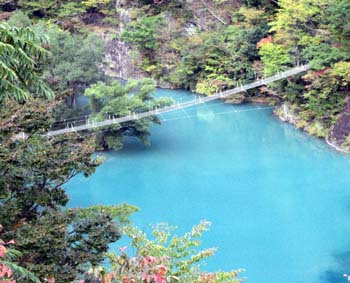 ���̍��̖l�́E�E�E�E�E������������́H