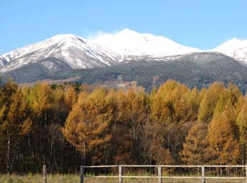 ���̍��̖l�́E�E�E�E�E������������́H