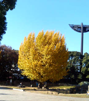 ���̍��̖l�́E�E�E�E�E������������́H