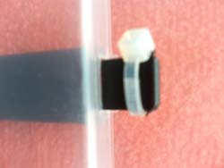 ���̍��̖l�́E�E�E�E�E������������́H