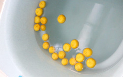 ���̍��̖l�́E�E�E�E�E������������́H