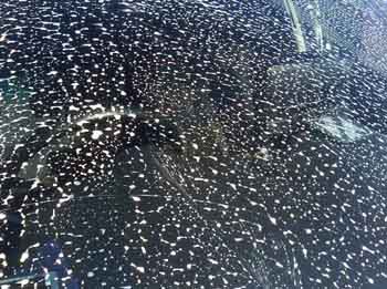 ���̍��̖l�́E�E�E�E�E������������́H