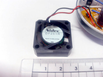 ���̍��̖l�́E�E�E�E�E������������́H