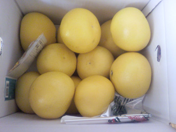 ���̍��̖l�́E�E�E�E�E������������́H