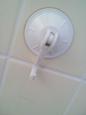 ���̍��̖l�́E�E�E�E�E������������́H