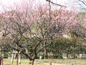 ���̍��̖l�́E�E�E�E�E������������́H