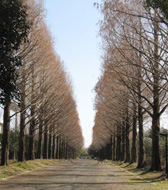 ���̍��̖l�́E�E�E�E�E������������́H