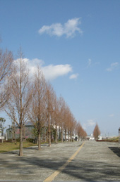 ���̍��̖l�́E�E�E�E�E������������́H