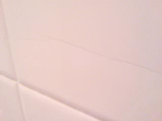 ���̍��̖l�́E�E�E�E�E������������́H