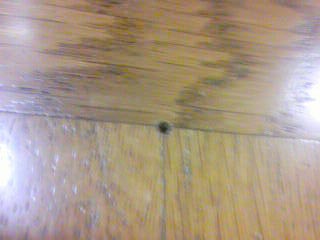 ���̍��̖l�́E�E�E�E�E������������́H