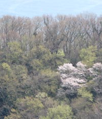 ���̍��̖l�́E�E�E�E�E������������́H