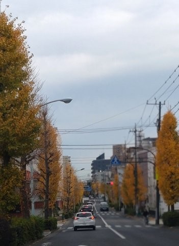 ���̍��̖l�́E�E�E�E������������́H part3