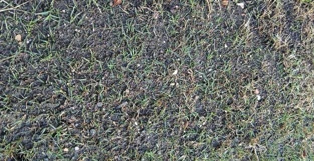 ���̍��̖l�́E�E�E�E������������́H part3