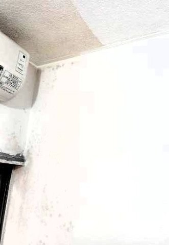 ���̍��̖l�́E�E�E�E������������́H part3