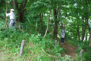 �΂��u����V������{�̕��𔭐M���܂�