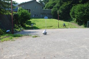 �΂��u����V������{�̕��𔭐M���܂�