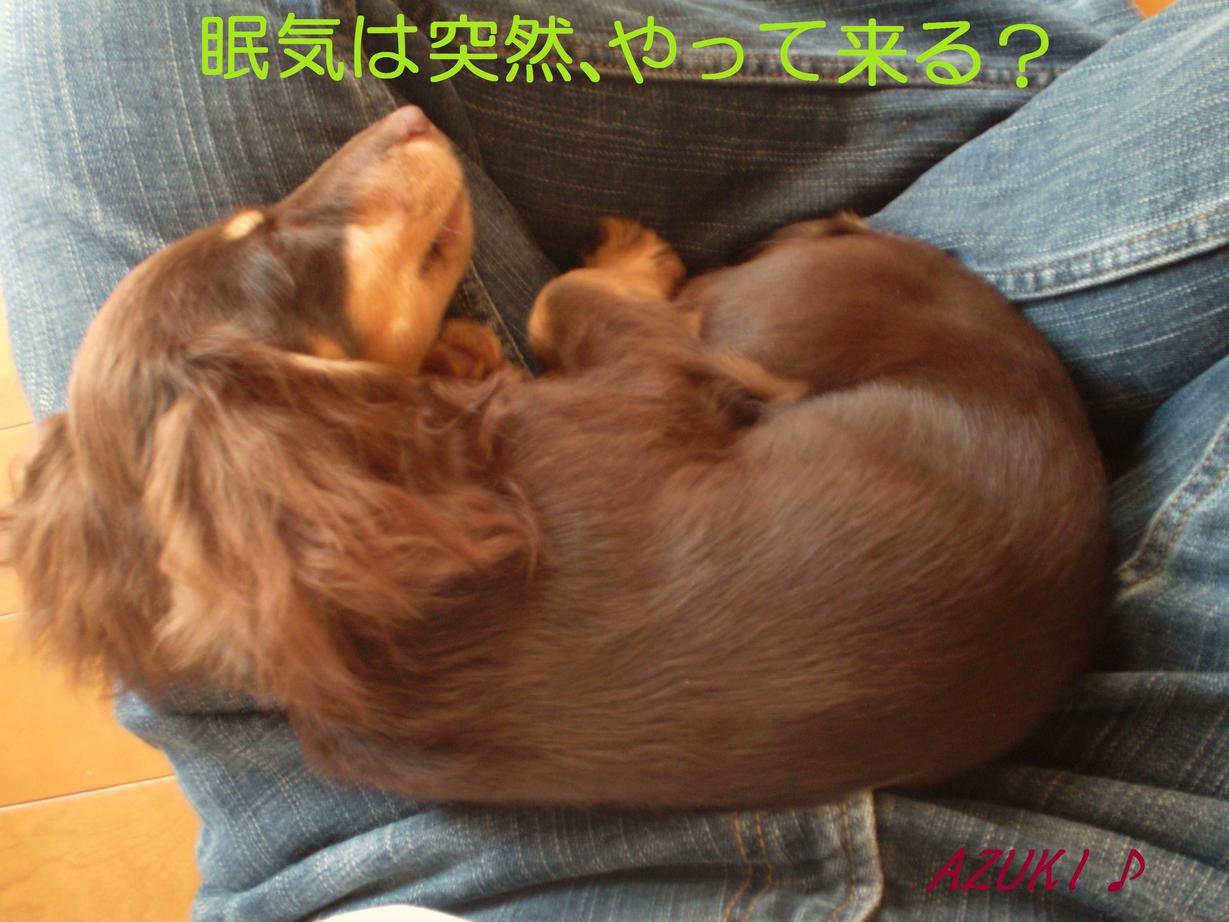 �_���{�́@���݂�