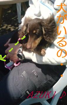 �_���{�́@���݂�