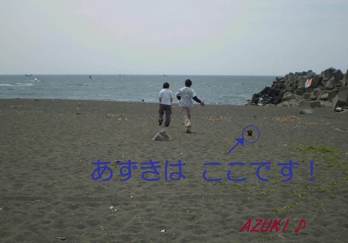 �_���{�́@���݂�