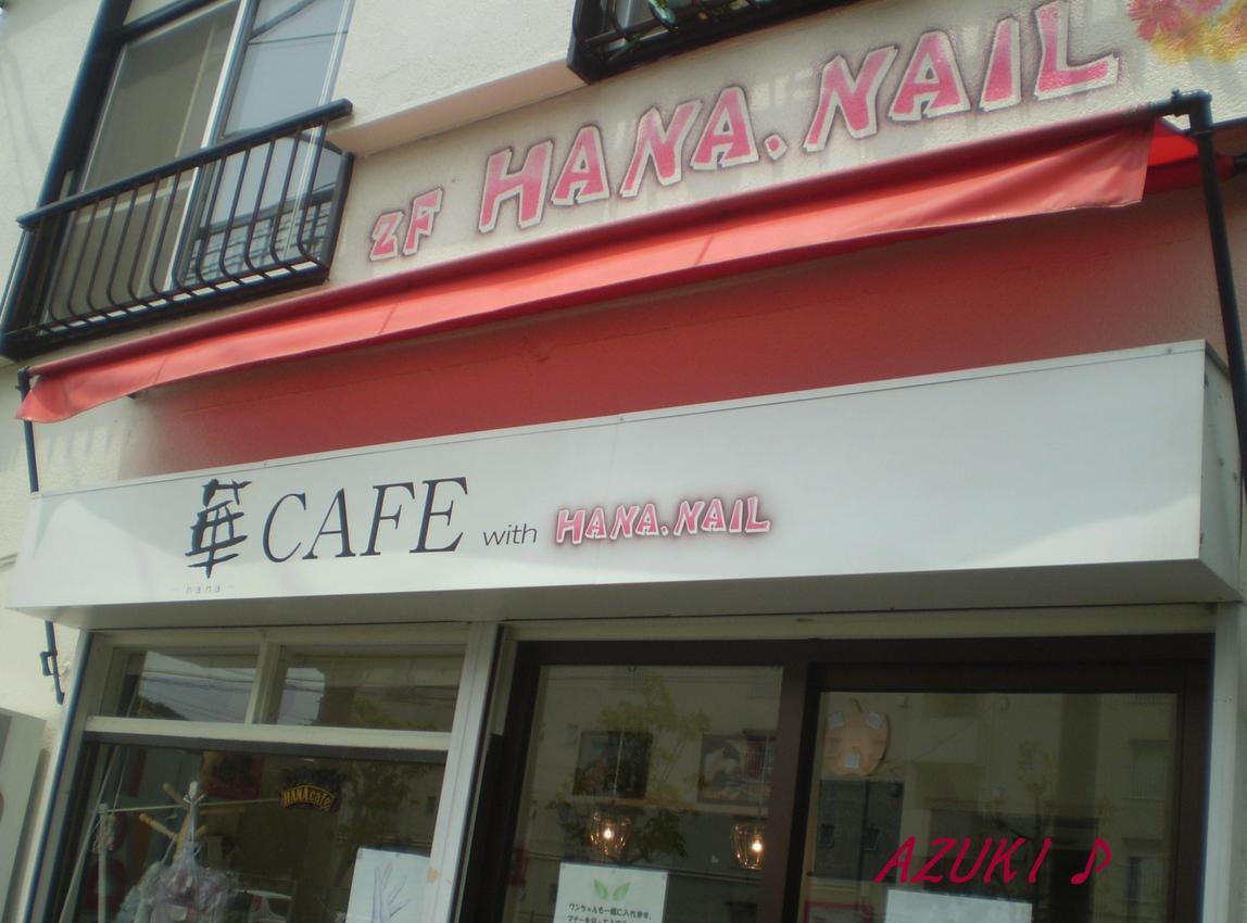 �_���{�́@���݂�