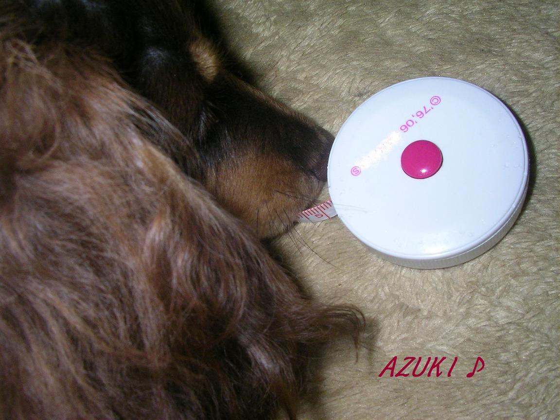 �_���{�́@���݂�