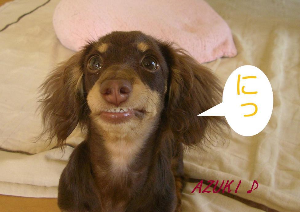 �_���{�́@���݂�