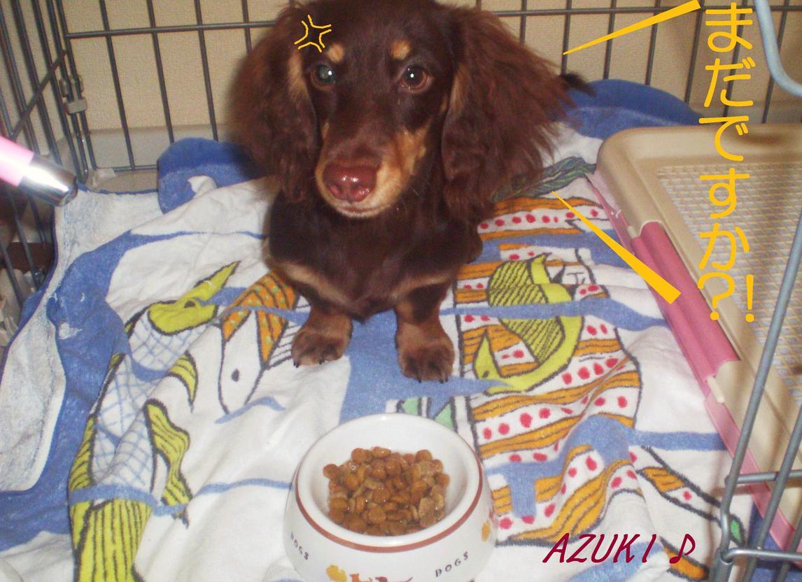 �_���{�́@���݂�