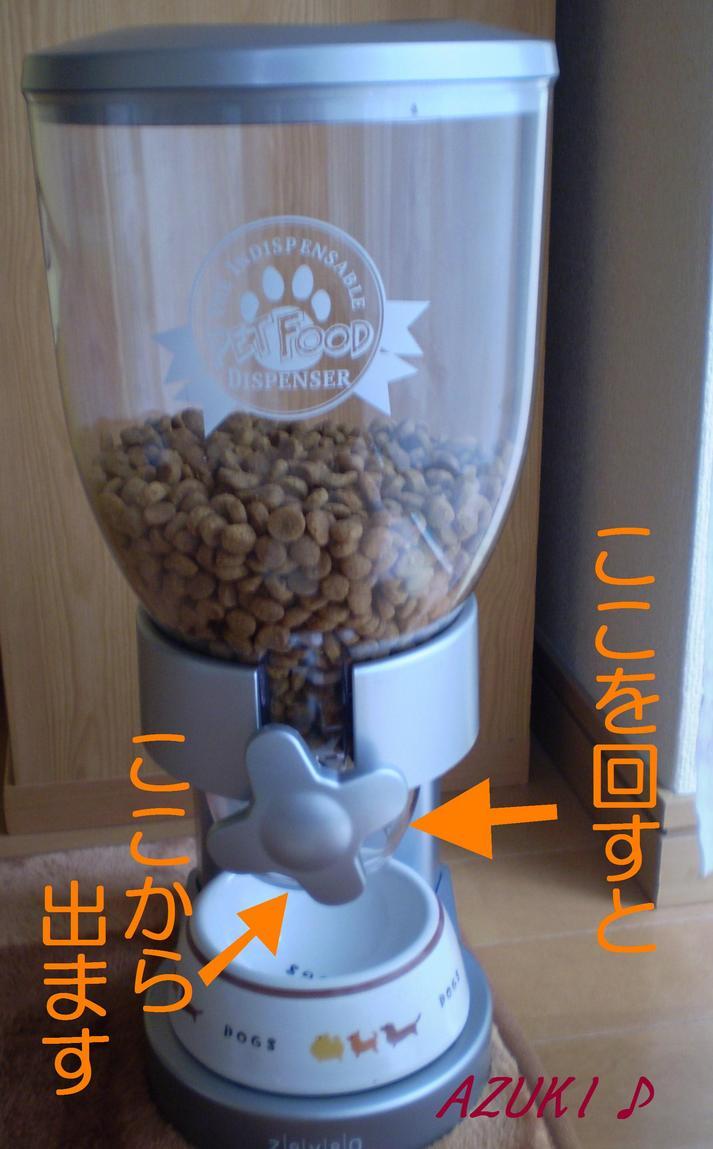 �_���{�́@���݂�