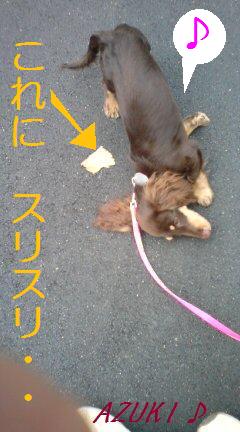 �_���{�́@���݂�