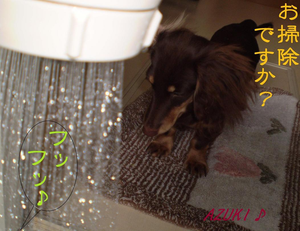 �_���{�́@���݂�