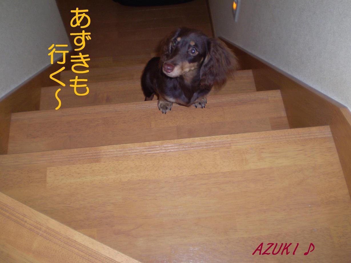 �_���{�́@���݂�