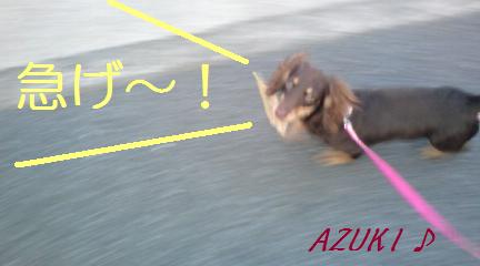 �_���{�́@���݂�