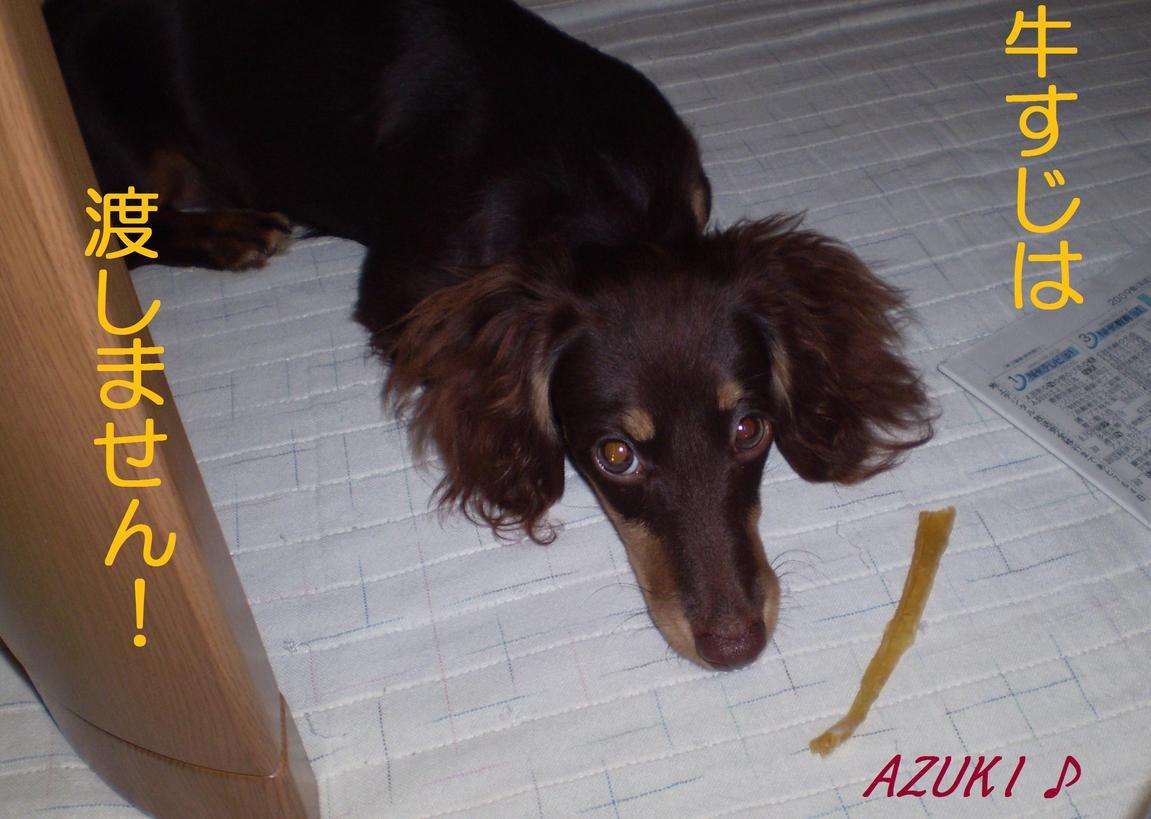 �_���{�́@���݂�