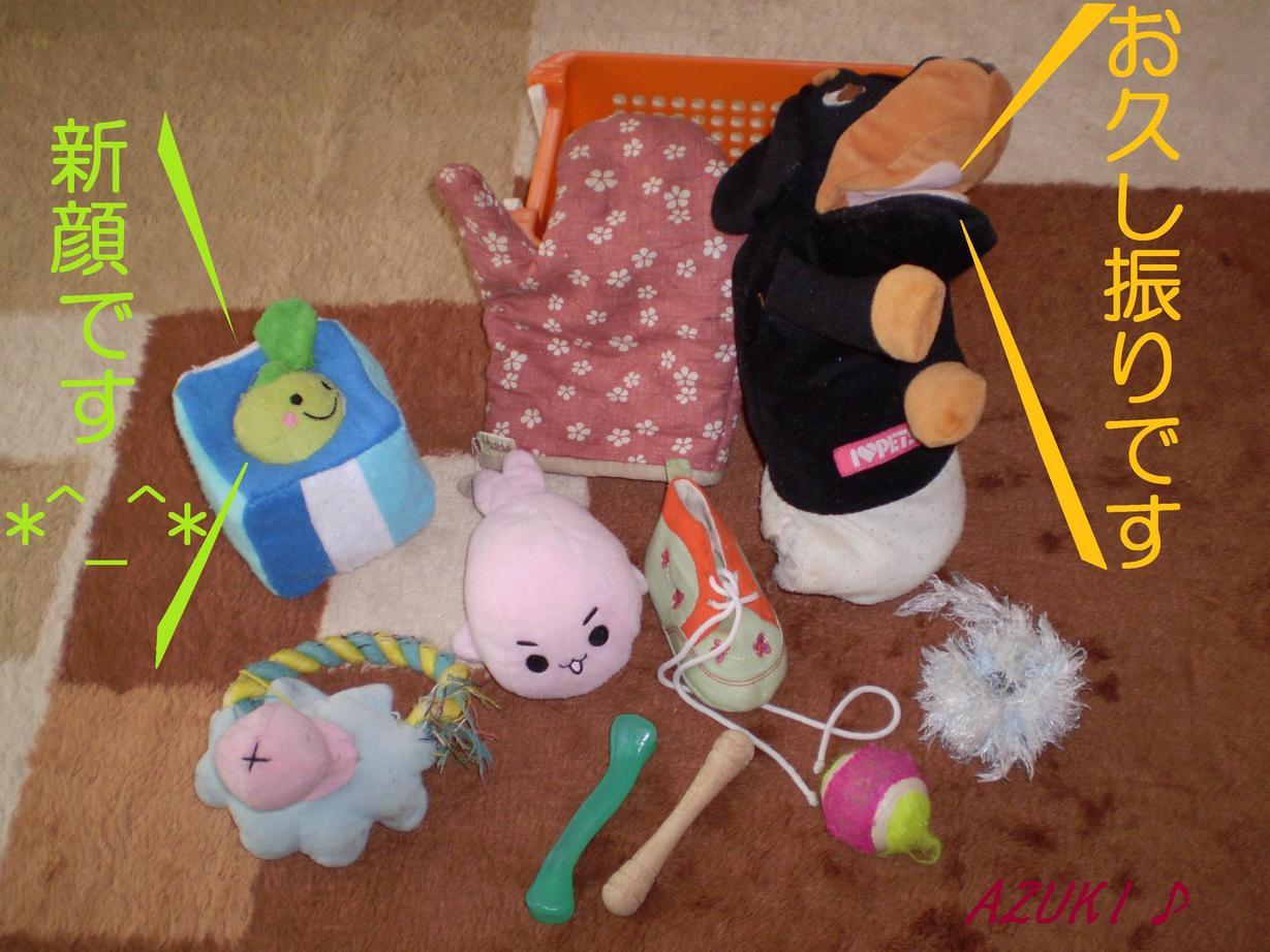 �_���{�́@���݂�