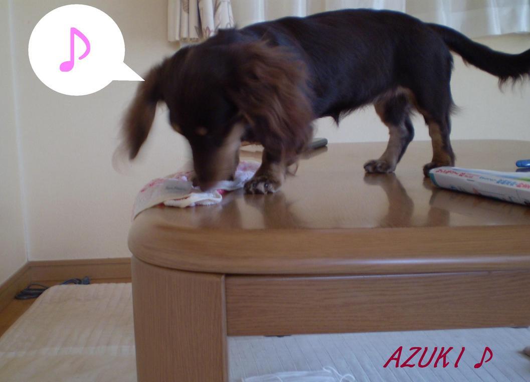 �_���{�́@���݂�