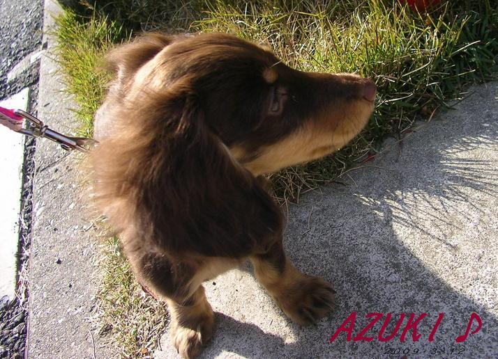 �_���{�́@���݂�