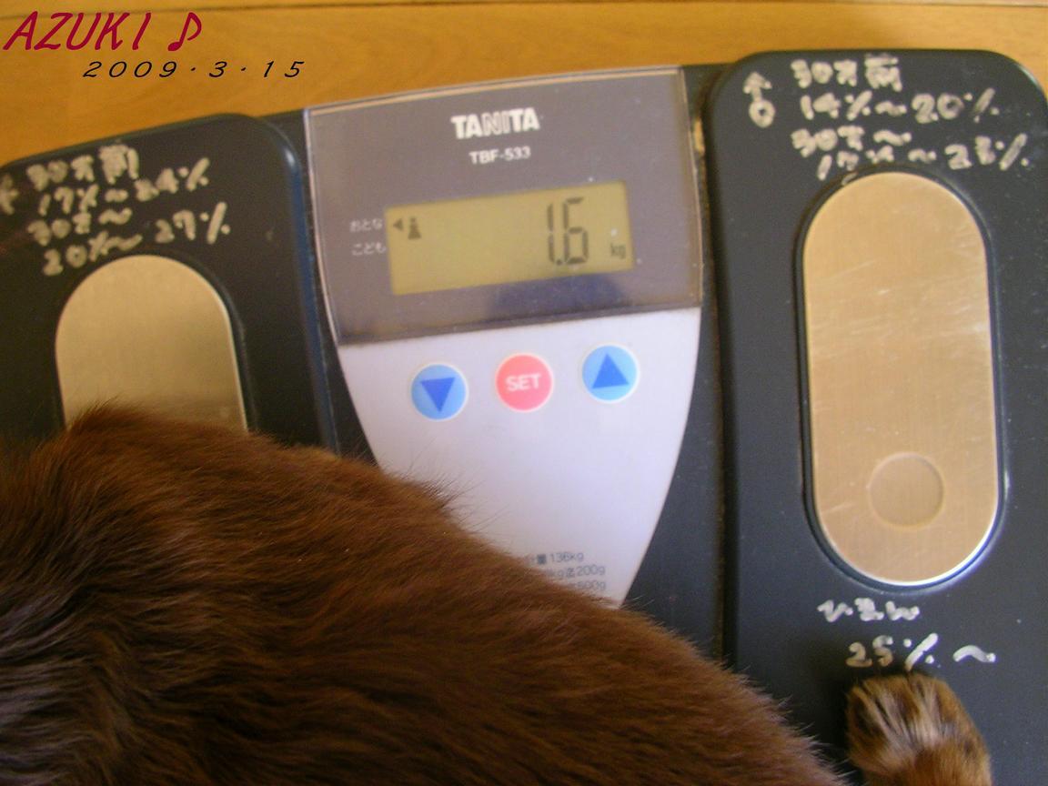 �_���{�́@���݂�