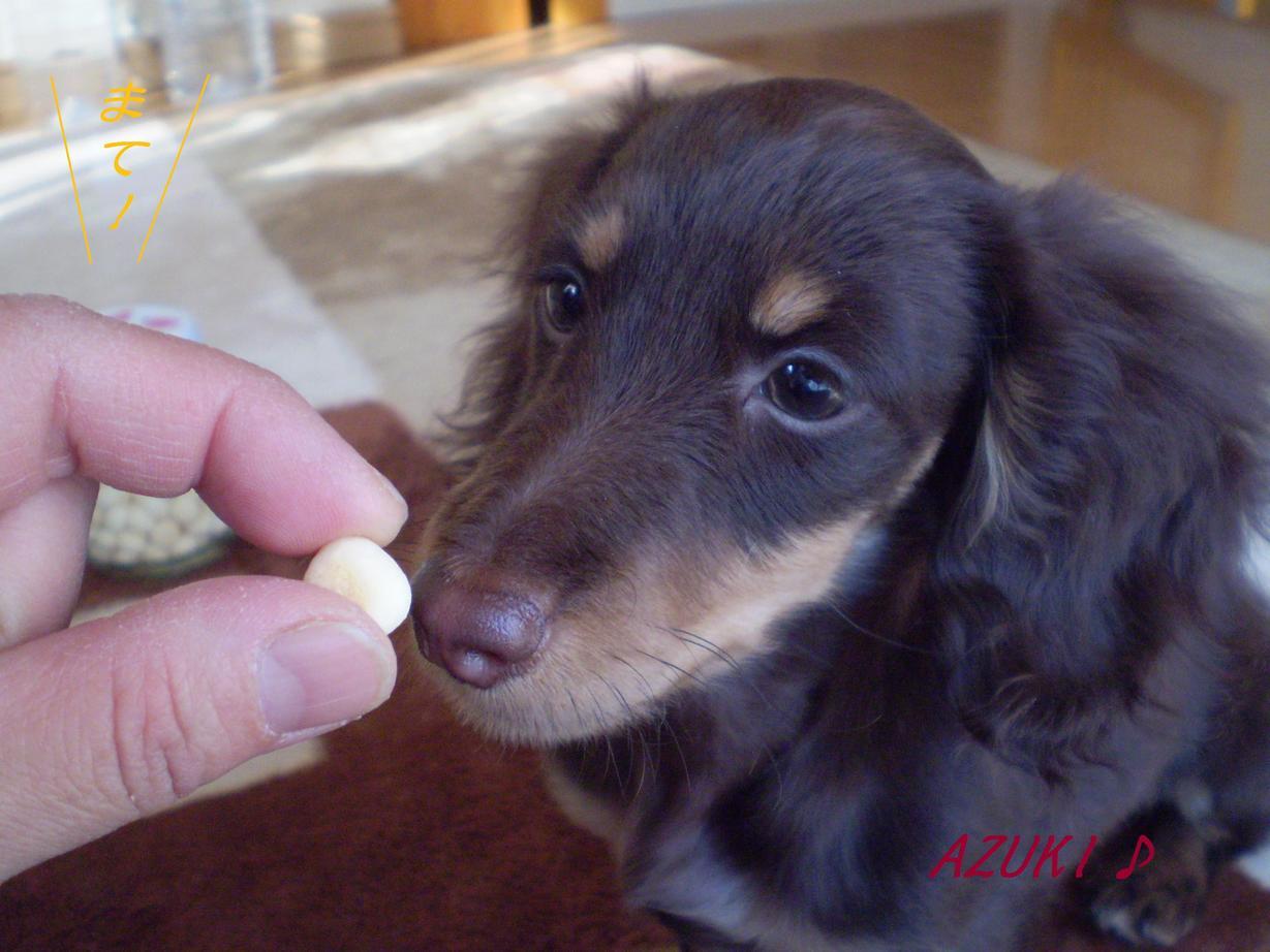 �_���{�́@���݂�