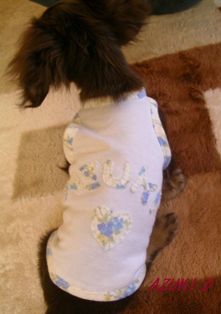 �_���{�́@���݂�