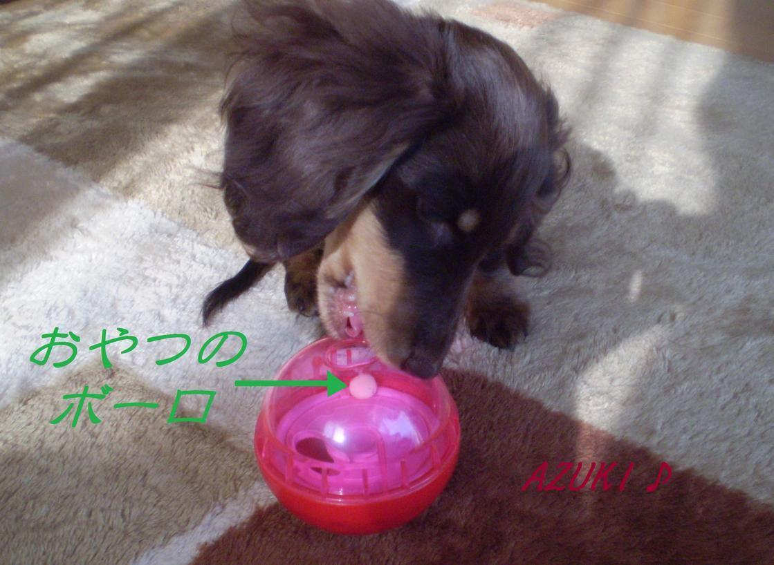 �_���{�́@���݂�