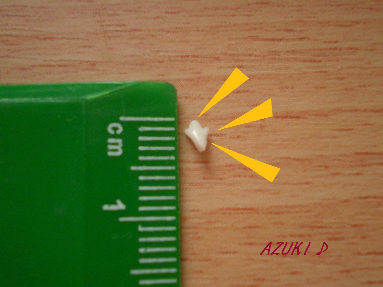 �_���{�́@���݂�