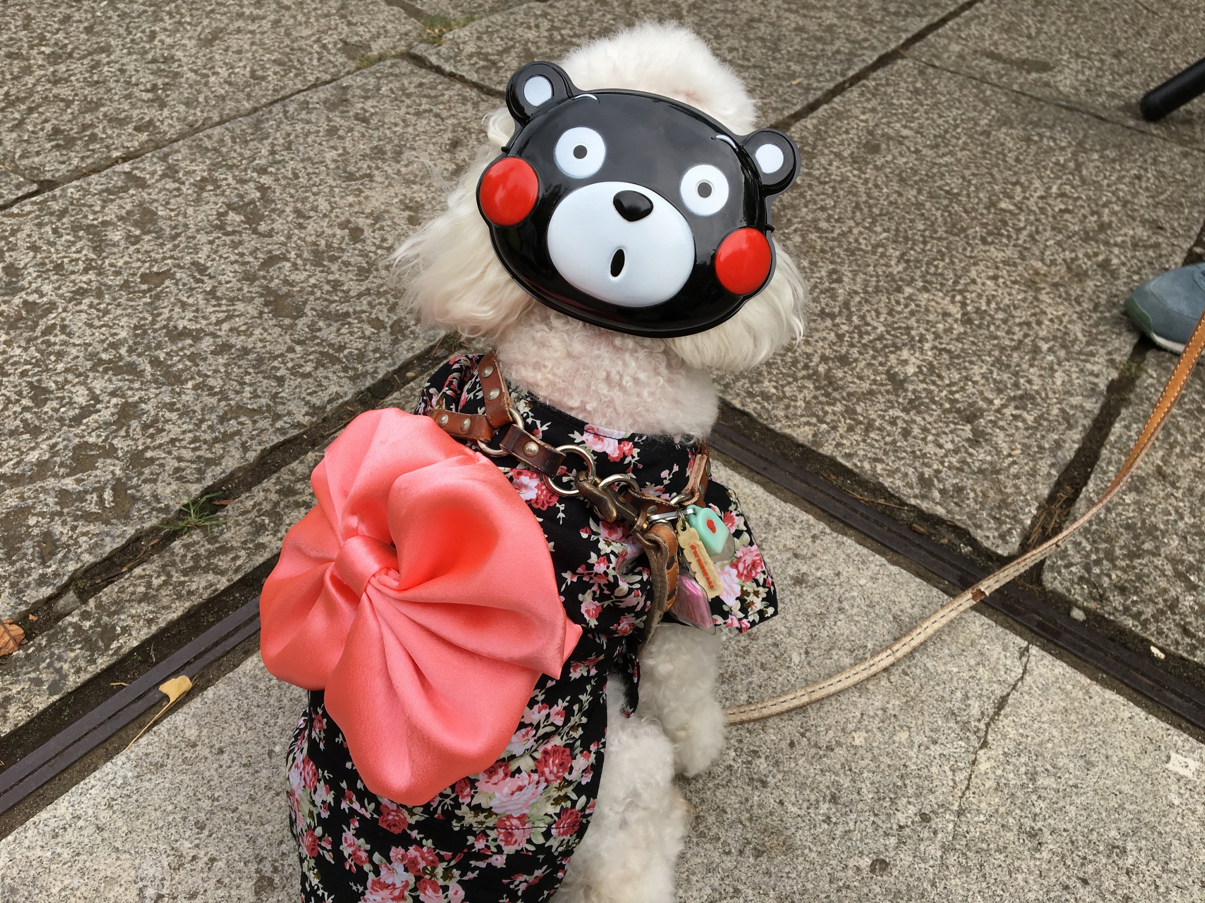 �f���I�f���I�x���}�[��