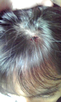 �ׂ邤���ǉƂ̓��L